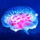 brain graphic
