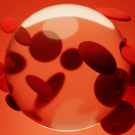 red blood cell